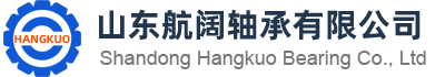 山東91视频在线（kuò）軸承有限公（gōng）司